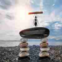 精‍准﻿关‍键‌词‍和﻿长﻿尾​关​键‌词﻿